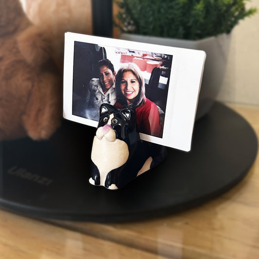 Porta fotos de gatito